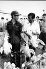 90年代，严宏昌在南京市场为村民卖鸭子
