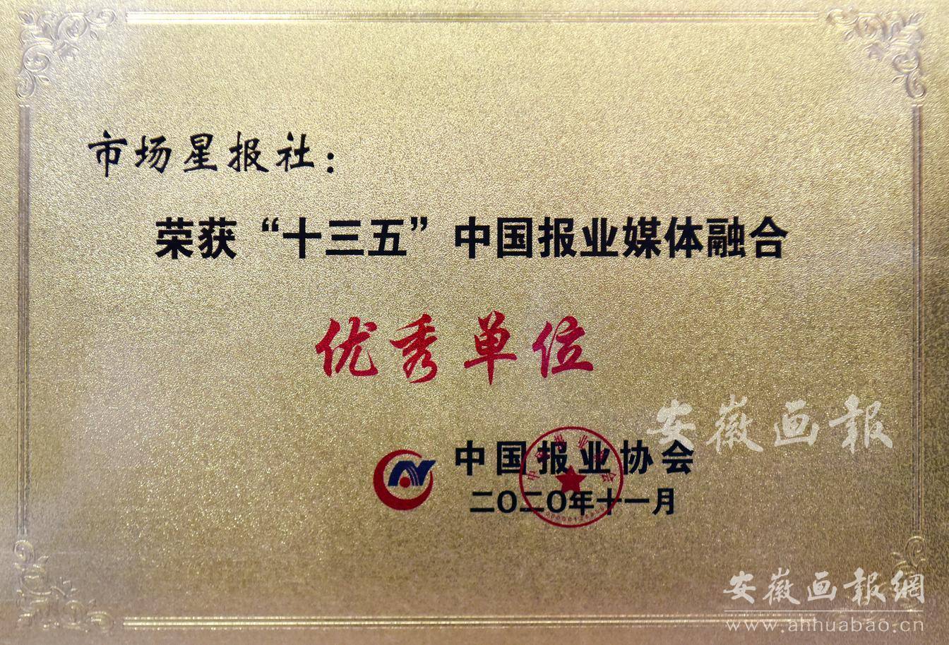 “十三五”中国报业媒体融合优秀单位