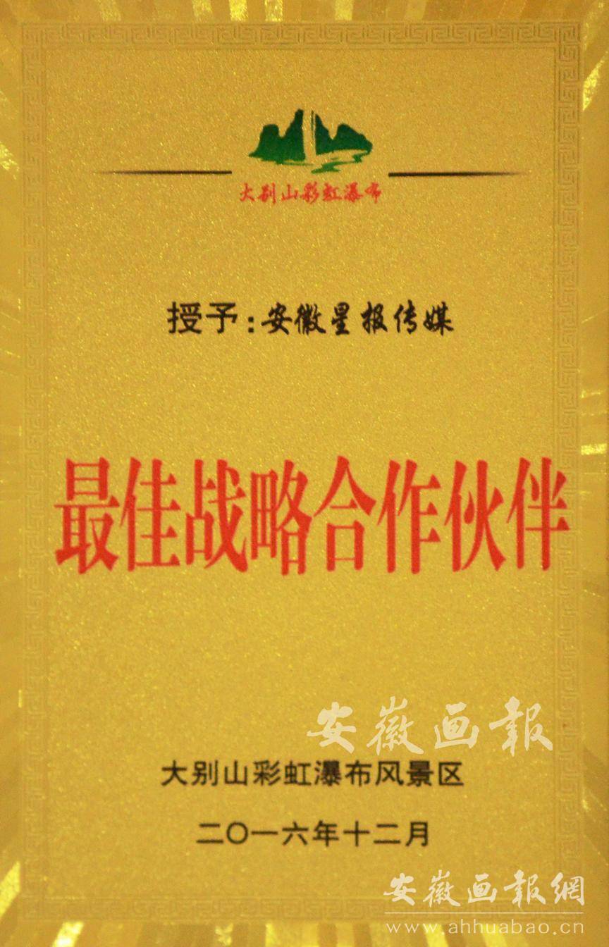 最佳战略合作伙伴