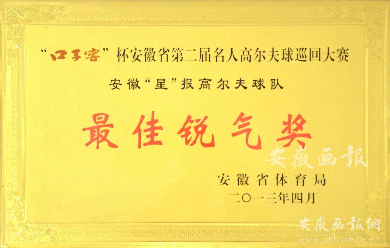 安徽省第二届名人高尔夫球巡回大赛最佳锐气奖
