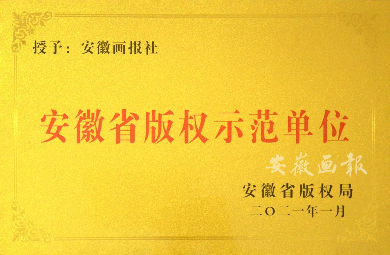 安徽省版权示范单位