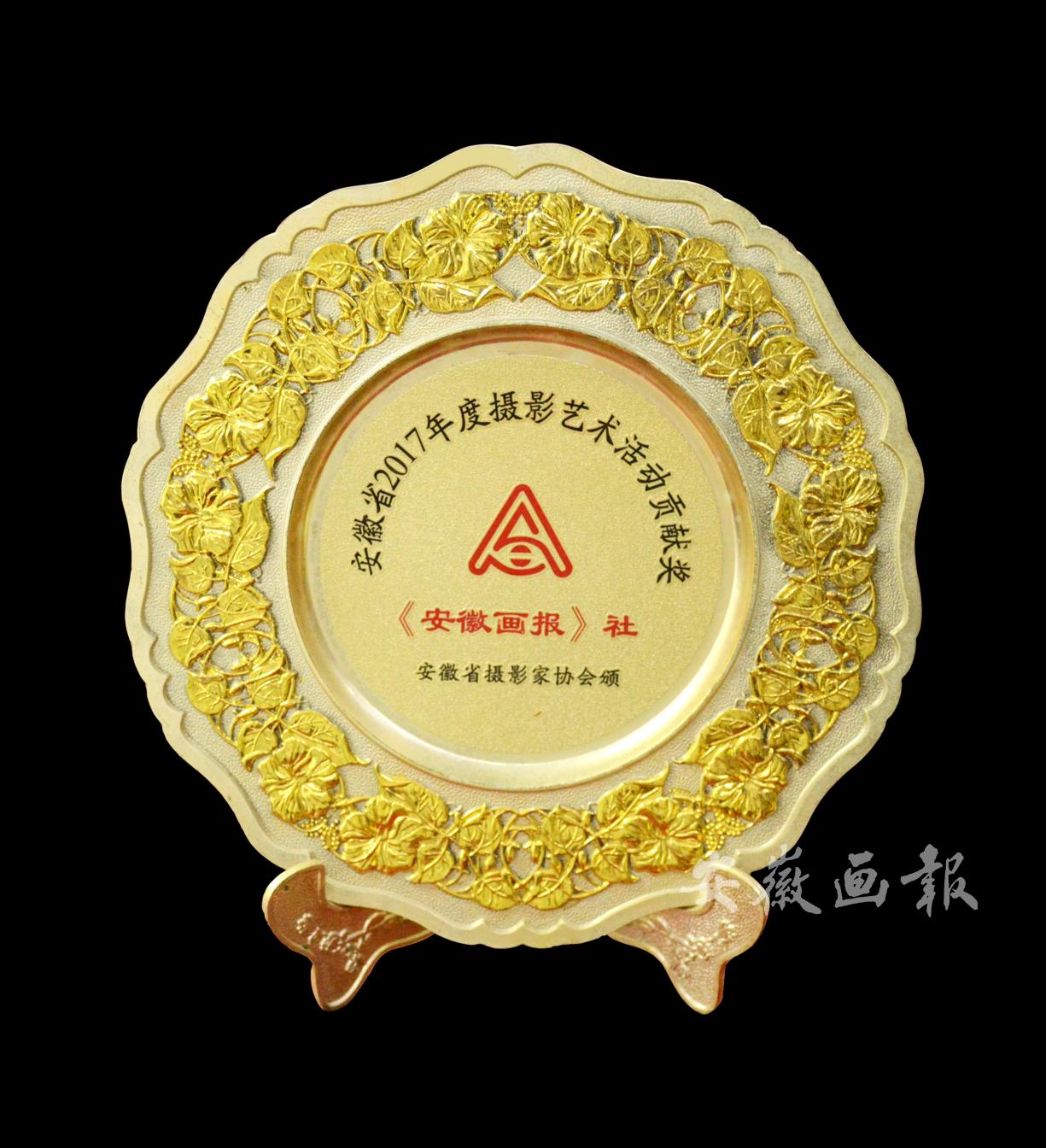 安徽省2017年度摄影艺术活动贡献奖